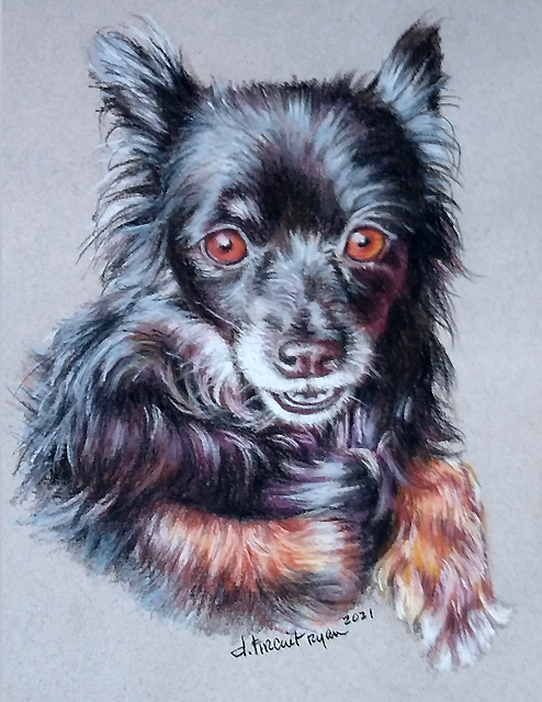 Pet Portrait of Lily McIntyre