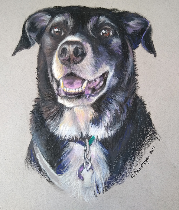 Pet Portrait of Molly Francoeur